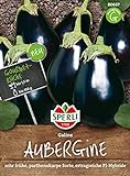 80667 Sperli Premium Aubergine Samen Galine | Frühe Sorte | Ertragreich | Aubergine Saatgut | Auberginen Samen Foto, Bestseller 2024-2023 neu, bester Preis 3,38 € Rezension