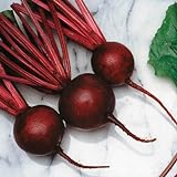 Beet Seeds - Kestrel Variety Seeds - Untreated - Variety Seeds - Non-GMO - 250 Seeds Photo, bestseller 2024-2023 new, best price $4.99 ($0.02 / Count) review