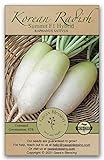Gaea's Blessing Seeds - Daikon Radish Seeds - Summit F1 Hybrid - Korean Type - Heirloom Non-GMO Seeds with Easy to Follow Planting Instructions - 94% Germination Rate Photo, bestseller 2024-2023 new, best price $5.99 review