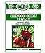 Photo Crimson Giant Radish Seeds - 200 Seeds Non-GMO new bestseller 2024-2023