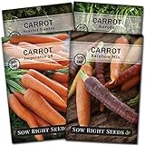 Sow Right Seeds - Carrot Seed Collection for Planting - Rainbow, Nantes, Imperator, and Kuroda Varieties - Non-GMO Heirloom Seeds to Plant a Home Vegetable Garden - Great Gardening Gift Photo, bestseller 2024-2023 new, best price $9.99 review