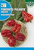Semilla Pimiento Picante Habanero Red - Rocalba Foto, éxito de ventas 2024-2023 nuevo, mejor precio 2,00 € revisión