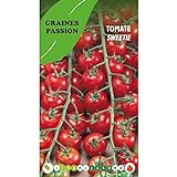 Graines passion sachet de graines Tomate Sweetie Photo, best-seller 2024-2023 nouveau, meilleur prix 4,80 € (4 800,00 € / kg) examen