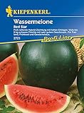 Melonen Wassermelone Red Star F1 Foto, Bestseller 2024-2023 neu, bester Preis 5,24 € (5,24 € / Stück) Rezension