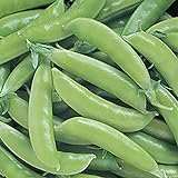 Park Seed Super Sugar Snap Pea Seeds Photo, bestseller 2024-2023 new, best price $6.50 review