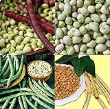 David's Garden Seeds Collection Set Southern Pea (Cowpea) 3333 (Multi) 4 Varieties 400 Non-GMO, Open Pollinated Seeds Photo, bestseller 2024-2023 new, best price $16.95 ($4.24 / Count) review