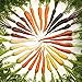Foto ZHOUBA Samen zum Pflanzen, 600 Stück köstliche Karottensamen nicht GVO Frische gemischte Gemüsesamen und leckere landwirtschaftliche Lieferungen für den Balkonhof Mehrfarbig neu Bestseller 2024-2023