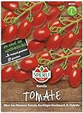 Sperli Premium Tomaten Samen Ravello ; Mini San Marzano ; Cherrytomaten ; Tomaten Saatgut Foto, Bestseller 2024-2023 neu, bester Preis 5,77 € Rezension
