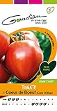 Gondian 154250 Semences-Tomate Coeur de Boeuf (Cuor Di Bue) -CP 2, Rouge, 1x8.1x16 cm Photo, best-seller 2024-2023 nouveau, meilleur prix 3,78 € examen