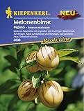 Sperli Gemüsesamen Melonenbirne Pepino, grün Foto, Bestseller 2024-2023 neu, bester Preis 3,65 € Rezension