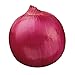 Photo Burpee Red Creole Onion Seeds 300 seeds new bestseller 2024-2023