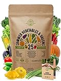 25 Summer Vegetable Garden Seeds Variety Pack for Planting Outdoors and Indoor Home Gardening 2500+ Non-GMO Heirloom Veggie & Salad Green Seeds: Collards Tomato Pepper Okra Onion Bean Cucumber & More Photo, bestseller 2024-2023 new, best price $21.99 ($0.88 / Count) review