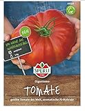 Tomate Gigantomo F1 (Fleischtomate), größte Tomate der Welt, sehr aromatisch Foto, Bestseller 2024-2023 neu, bester Preis 3,43 € (3,43 € / Stück) Rezension