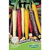Germisem Rainbow F1 Mix Semillas de Zanahoria 1 g, EC9025 Foto, éxito de ventas 2024-2023 nuevo, mejor precio 3,68 € revisión