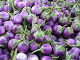 Purple Thai Mini Round Aubergine 30 ++ Graines Photo, best-seller 2024-2023 nouveau, meilleur prix 10,98 € examen