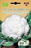 Germisem Bio Graines Chou-fleur Merveille de toutes saisons ALL THE YEAR ROUND Photo, best-seller 2024-2023 nouveau, meilleur prix 6,76 € examen