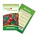 Foto Balkontomaten Balkonzauber Samen - Solanum lycopersicum - Balkontomatensamen - Gemüsesamen - Saatgut für 15 Pflanzen neu Bestseller 2024-2023