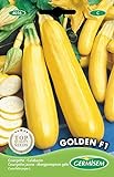 Germisem Zucchini GOLDEN F1, mehrfarbig, EC4016 Foto, Bestseller 2024-2023 neu, bester Preis 3,68 € Rezension