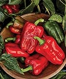 Burpee Great Stuff Sweet Pepper Seeds 40 seeds Photo, bestseller 2024-2023 new, best price $7.65 ($0.19 / Count) review
