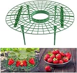 JJZJ 5 Pack Strawberry Supports with 4 Sturdy Legs for Keeping Plant Clean and Not Rot in Rainy Days Photo, bestseller 2024-2023 new, best price $11.99 review