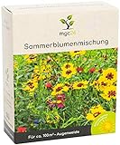 mgc24® Sommerblumenmischung - Blumenmischung für nützliche Insekten ein- & mehrjährig 100g für 100m² Foto, Bestseller 2024-2023 neu, bester Preis 5,99 € (59,90 € / kg) Rezension