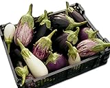 Eggplant Garden Blend 325 Eggplant Seeds +1 Plant Marker - Excellent Varieties Photo, bestseller 2024-2023 new, best price $5.00 review