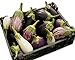 Photo Eggplant Garden Blend 325 Eggplant Seeds +1 Plant Marker - Excellent Varieties new bestseller 2023-2022