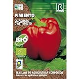 Semillas ecológicas de pimiento quadrato d'asti rosso Foto, éxito de ventas 2024-2023 nuevo, mejor precio 1,85 € revisión
