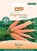 Foto Bingenheimer Saatgut - Möhre Milan - Gemüse Saatgut / Samen neu Bestseller 2024-2023