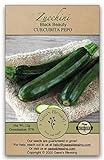 Gaea's Blessing Seeds - Zucchini Seeds - Non-GMO - with Easy to Follow Planting Instructions - Heirloom Black Beauty Summer Squash 97% Germination Rate Photo, bestseller 2024-2023 new, best price $5.99 review