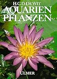 Aquarienpflanzen Foto, Bestseller 2024-2023 neu, bester Preis 36,95 € Rezension