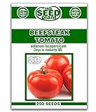 Beefsteak Tomato Seeds - 250 Seeds Non-GMO Photo, bestseller 2024-2023 new, best price $1.79 review