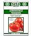 Photo Beefsteak Tomato Seeds - 250 Seeds Non-GMO new bestseller 2024-2023
