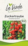 Zuckertraube BIO Tomatensamen Foto, Bestseller 2024-2023 neu, bester Preis 3,25 € Rezension