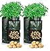 Foto Cefrank Kartoffelzuchtbeutel, 35 x 45 cm, strapazierfähiger Stoff, 10 Gallonen Pflanztöpfe mit Klappe und Griff, 55 Liter, 2 Stück neu Bestseller 2023-2022