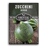 Survival Garden Seeds - Round Zucchini Seed for Planting - Pack with Instructions to Plant and Grow Small Green Zucchinis in Your Home Vegetable Garden - Non-GMO Heirloom Variety Photo, bestseller 2024-2023 new, best price $4.99 review
