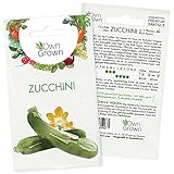 Zucchini Samen: Premium Zucchini Saatgut für die Anzucht von ca. 5 Zucchini Pflanzen – Samenfeste Gemüse Samen – Samen Gemüse – Gemüse Pflanzen Samen für Gemüse Anzucht – Gemüse Saatgut von OwnGrown… Foto, Bestseller 2024-2023 neu, bester Preis 2,35 € Rezension
