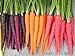 Photo Rainbow Blend Carrot Heirloom Seeds - B258 (150 Seeds, 1/4 Gram) new bestseller 2023-2022