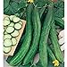 Photo Cetriolo Chinese Slangen Cucumbers Seeds (20+ Seeds) | Non GMO | Vegetable Fruit Herb Flower Seeds for Planting | Home Garden Greenhouse Pack new bestseller 2023-2022