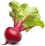 Ruby Queen Beet Seeds | Beet Seeds for Planting Outdoor Gardens | Heirloom & Non-GMO | Planting Instructions Included Photo, bestseller 2024-2023 new, best price $6.95 ($32.94 / Ounce) review