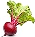 Photo Ruby Queen Beet Seeds | Beet Seeds for Planting Outdoor Gardens | Heirloom & Non-GMO | Planting Instructions Included new bestseller 2023-2022
