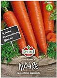 Sperli Premium Möhren Samen Rote Riesen 2 ; Große kegelförmige Rüben ; Karotten Samen für ca. 1000 Karotten Foto, Bestseller 2024-2023 neu, bester Preis 2,17 € Rezension