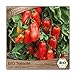 Foto Samenliebe BIO Tomaten Samen alte Sorte San Marzano 2 italienische Tomate längliche Romatomate rot 10 Samen samenfestes Gemüse Saatgut für Gewächshaus Freiland und Balkon BIO Gemüsesamen neu Bestseller 2024-2023