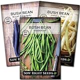 Sow Right Seeds - Tri Color Bush Bean Seed Collection for Planting - Individual Packets Contender, Royal Burgundy and Golden Wax Bush Beans, Non-GMO Heirloom Seeds to Plant a Home Vegetable Garden… Photo, bestseller 2024-2023 new, best price $9.99 review