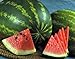 Photo Watermelon, Jubilee , Heirloom, 20 Seeds, Large, Sweet N Delicious new bestseller 2023-2022