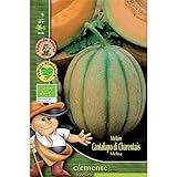 Semillas ecológicas de Melon Cantalupo Di Charentais Foto, éxito de ventas 2024-2023 nuevo, mejor precio 4,42 € revisión