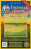 Everwilde Farms - 100 Kandy Korn Hybrid Sweet Corn Seeds - Gold Vault Jumbo Seed Packet Photo, bestseller 2024-2023 new, best price $3.96 review