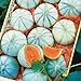 Photo 10 Savor Melon Seeds | Exotic Garden Fruit Seeds to Plant | Sweet Exotic Melons, Grow and Eat new bestseller 2024-2023