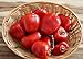Foto Hot Chili Pfeffer Rocoto Rot - Manzano - Pepper - 10 Samen neu Bestseller 2023-2022