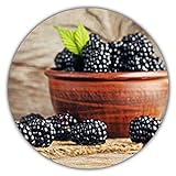 Riesen Brombeeren - Ca. 50 Samen - Gesunde & Vitaminreiche Früchte Foto, Bestseller 2024-2023 neu, bester Preis 3,49 € Rezension
